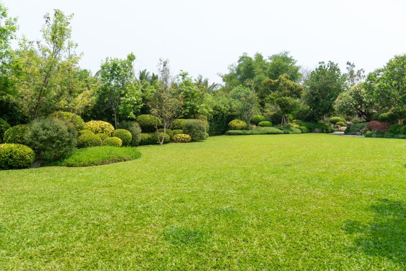Yard Xeriscaping
