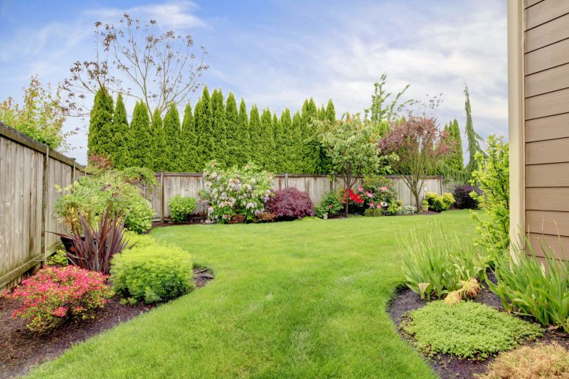 Yard Xeriscaping