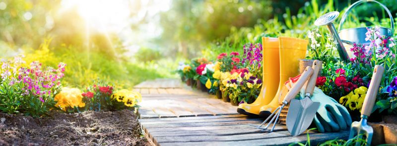 Top Rated Landscaping Products