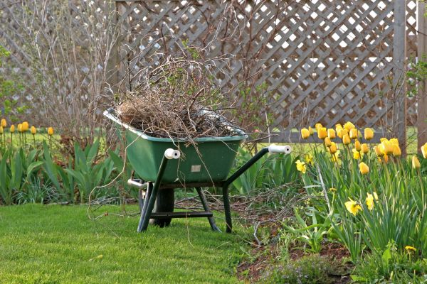 Flower Bed Cleanup Service in Draper