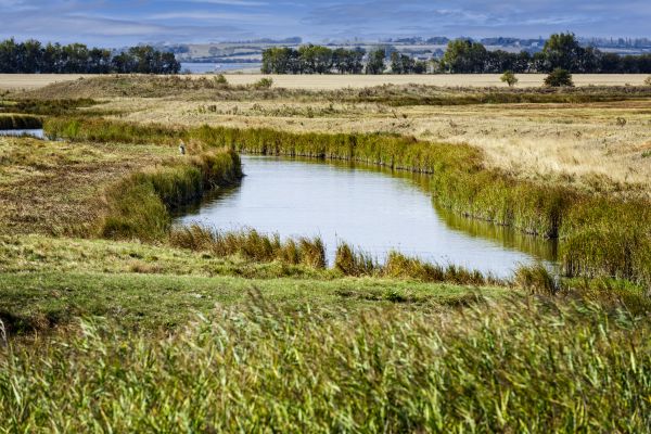 Swale Landscaping in Draper