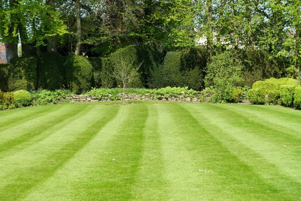 Lawn Renovation in Draper