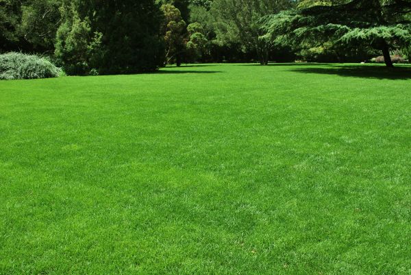 Lawn Landscaping in Draper