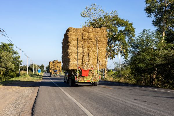 Pine Straw Delivery in Draper