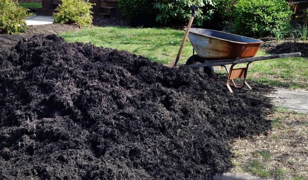 Black Mulch Delivery in Draper