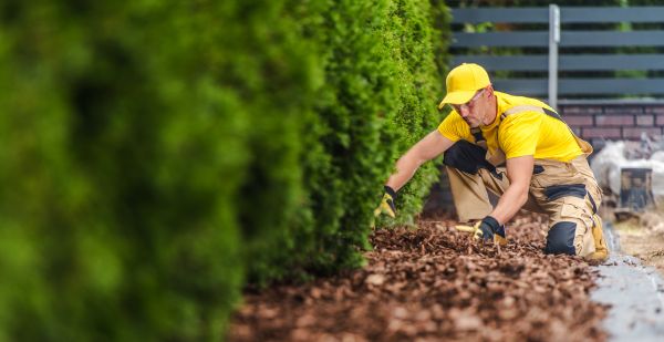 Cypress Mulch Installation in Draper