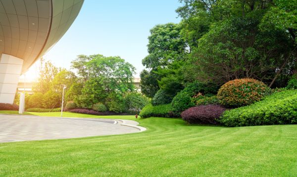 Business Landscape Design in Draper