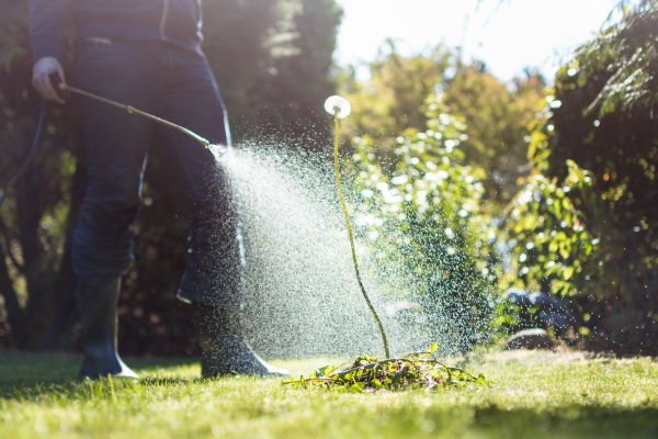 Landscape Weed Control