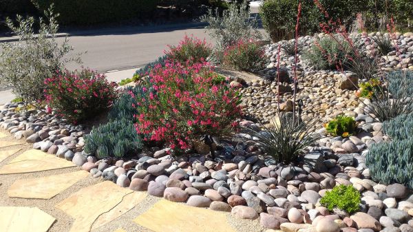 Xeriscape Landscaping in Draper
