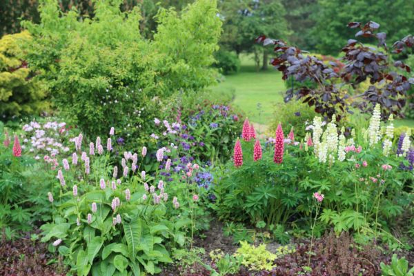 Flower Bed Planting in Draper