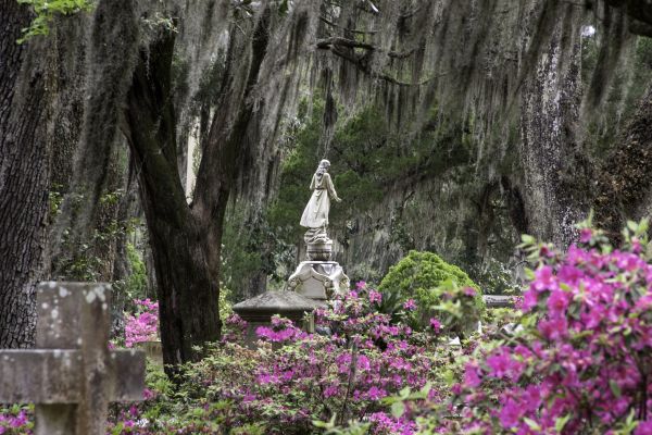 Cemetery Landscaping in Draper