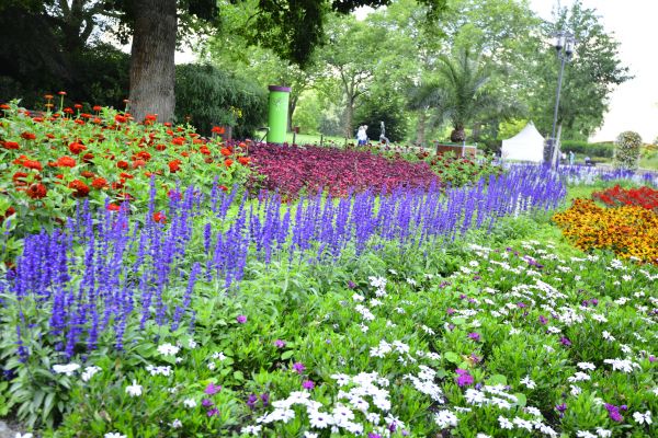 Perennials Planting in Draper