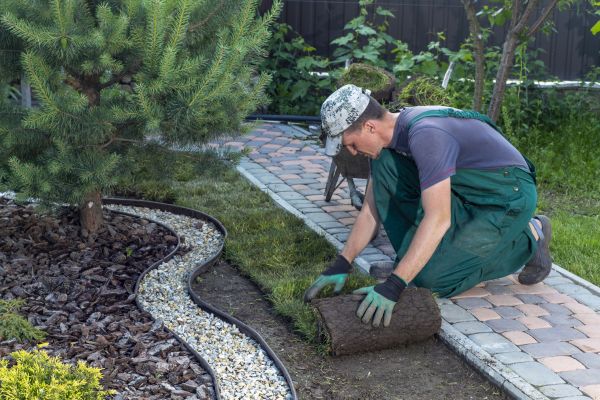 Landscaping Modification in Draper