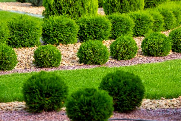 Bush Installation Service