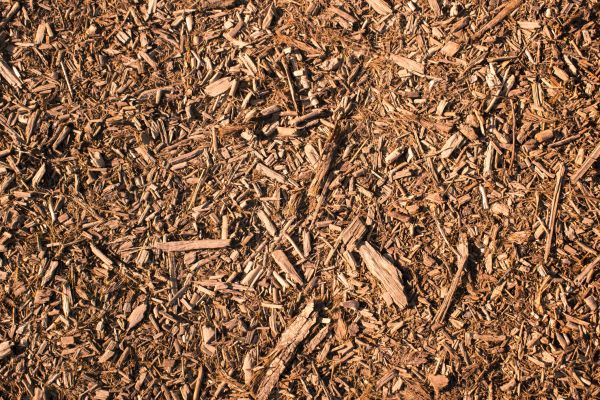 Wood Chips Removal in Draper