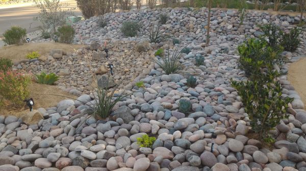 Yard Xeriscaping in Draper
