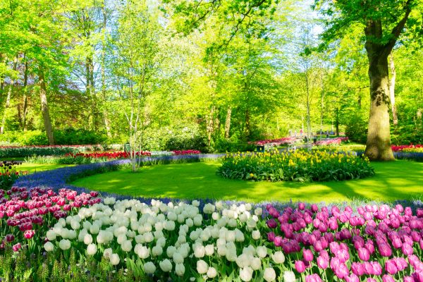 Flower Landscaping in Draper
