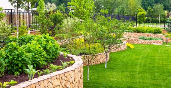 Yard Makeover Service in Draper