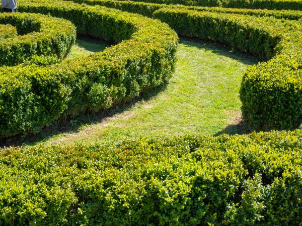 Bush Landscaping in Draper