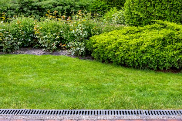 Water Management Landscaping
