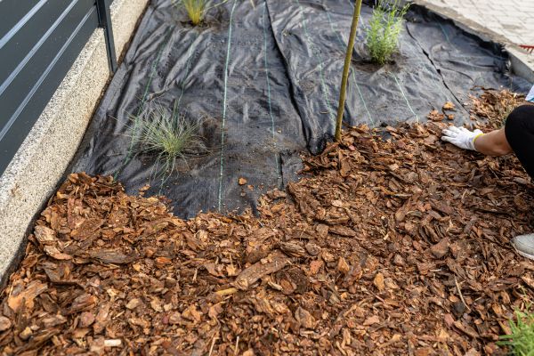 Pine Bark Spreading in Draper