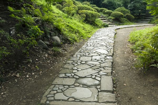 Stone Pathway Building