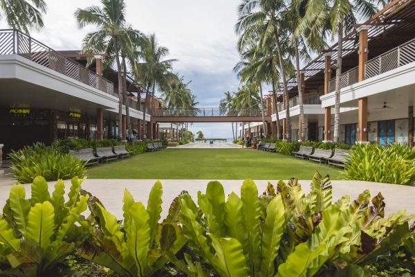 Commercial Lawn Renovation in Draper