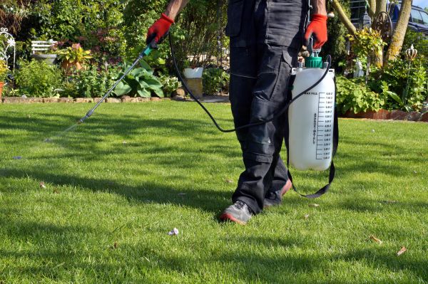 Spring Weed Control