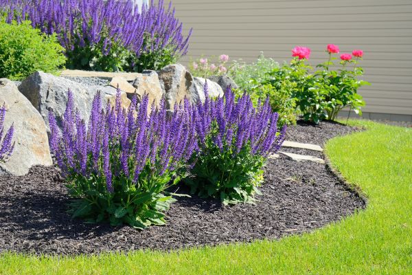 Landscape Planting Service in Draper
