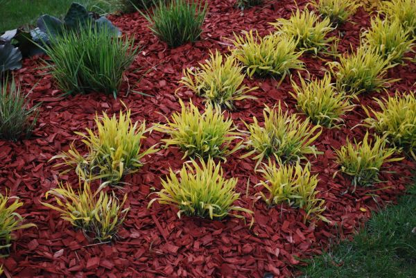Red Mulch Installation in Draper