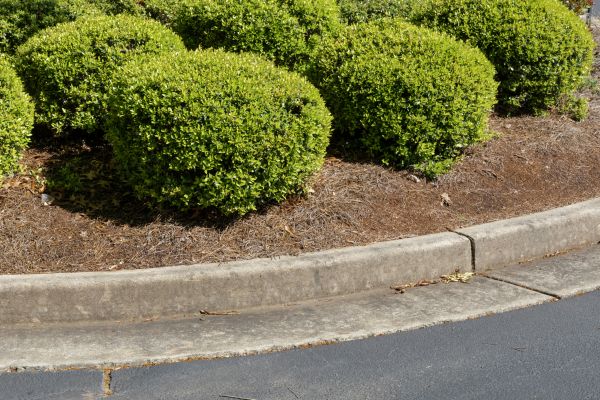 Pine Mulch Installation in Draper
