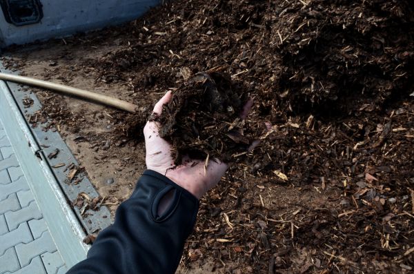Condo Mulching in Draper