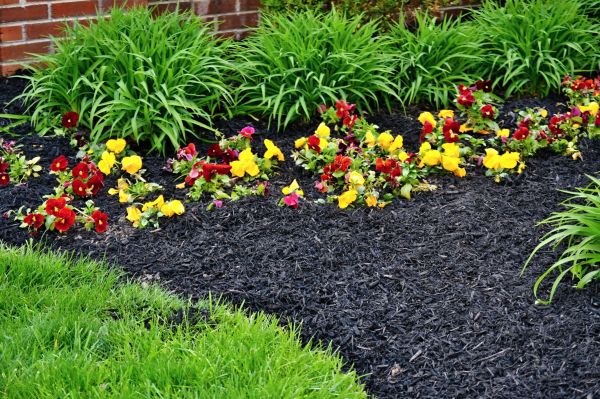 Apartment Mulching in Draper